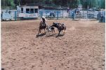 Calf Roping